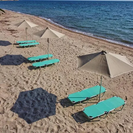 Summerday Private * Νέα Ηράκλεια